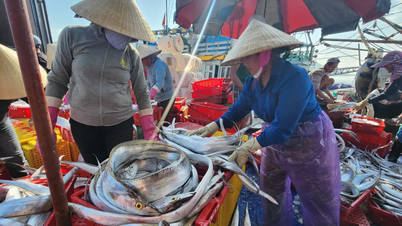 O barco de um pescador teve duas capturas bem-sucedidas de toneladas de atum.