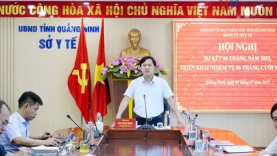 Provinsi Quang Ninh memiliki empat dokter yang telah diakui sebagai dosen tamu di Universitas Kedokteran Hanoi.