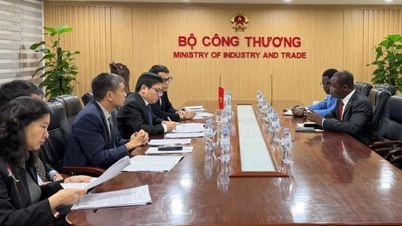 Thứ trưởng Trương Thanh Hoài tiếp và làm việc với Đại sứ Burkina Faso tại Trung Quốc, kiêm nhiệm Việt Nam