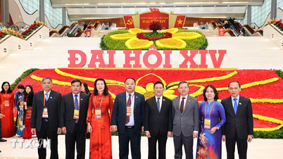14th National Congress of the Party: Leading the rapid and sustainable development of the private economy.