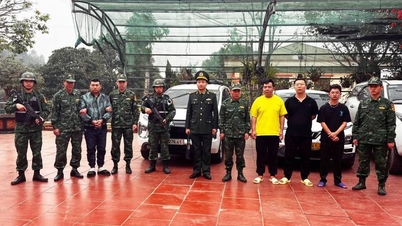 Lao Cai grensevaktstyrke oppløser en ring som organiserer ulovlig inn- og utreise av utlendinger.