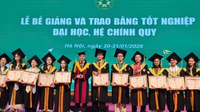Over 97% of students from the Vietnam Academy of Agriculture find employment after graduation.