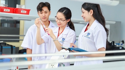 Apărând pentru prima dată în clasamentul mondial THE, Universitatea Nguyen Tat Thanh acumulează puncte în 3 dintre cele mai puternice discipline ale sale.