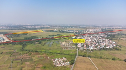 Perancangan Stesen Co Loa: Titik permulaan laluan kereta api Hanoi - Quang Ninh, dengan kos 152.219 bilion VND.