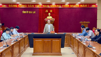 İl Parti Komitesi Başkan Yardımcısı Chau Ngoc Tuan, taban parti örgütlerinin ve parti üyelerinin oluşturulması çalışmalarında İl Parti Teşkilatları Dairesi ile birlikte çalıştı.