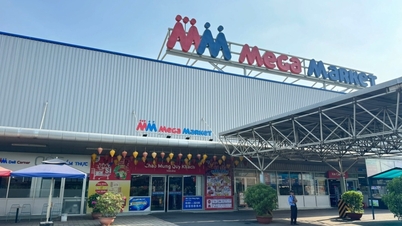 Est-il vrai que la Thaïlande s'apprête à dépenser plus de 19,3 billions de VND pour « racheter » Mega Market Vietnam ?