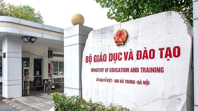 Bộ GD-ĐT nghiêm cấm dùng công quỹ biếu, tặng quà Tết cho lãnh đạo các cấp