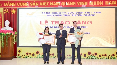 La Oficina de Correos Provincial de Tuyen Quang se ha fijado el objetivo de alcanzar unos ingresos totales superiores a los 280 mil millones de VND.