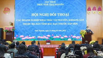 การหารือเกี่ยวกับนโยบายภาษีสำหรับบริษัทเหมืองแร่
