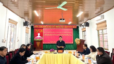 A Tudományos és Technológiai Minisztérium igazgatója részt vett a Nguyễn Huế, Tra Linh, Quang Trung és Doai Duong községek választási munkáját ellenőrző csoportban.