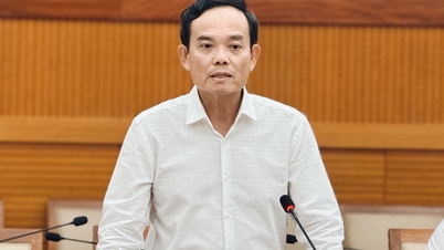 A cidade de Ho Chi Minh está reestruturando o quadro de funcionários do Comitê Diretivo para a prevenção e o combate à corrupção, ao desperdício e às práticas negativas.