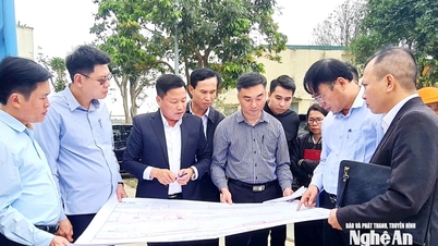 Vinh Uluslararası Havalimanı pist uzatma projesi için arazi temizleme çalışmalarını 30 Nisan'dan önce tamamlayın.