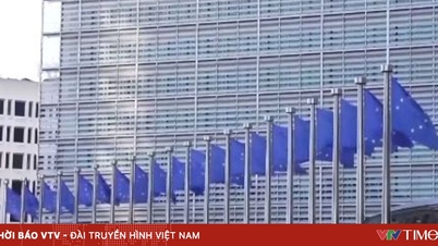 Avrupa, ABD ile ticaret anlaşmasını dondurdu.