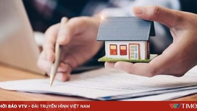 W jaki sposób przydzielana jest ziemia pod przesiedlenie i jak ustalana jest jej cena?