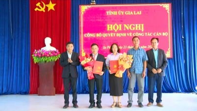 Chánh Văn phòng Sở Nông nghiệp và Môi trường Gia Lai làm Phó Bí thư xã