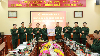 Militärregion 3: Inspektion und Übermittlung von Neujahrsgrüßen an die Einheiten in Hai Phong.