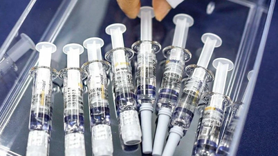 Cientistas russos desenvolveram uma nova vacina contra a gripe aviária H5N1.