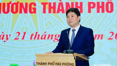 Hai Phongs industri- och handelsdepartement siktar på en ökning av industriutvecklingsindexet med 15,5 %.