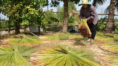 Dinamisme komune sempadan Giang Thanh