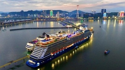 Mengembangkan Quang Ninh menjadi pusat ekonomi maritim modern.