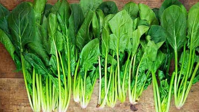 5 tipos de verduras de invierno ricas en fibra que son buenas para la digestión.