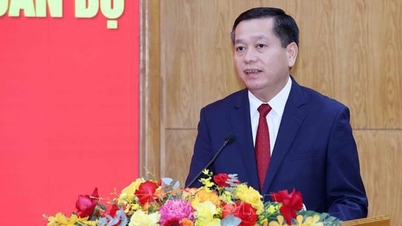 전략적 기획력을 강화하고 당의 주요 정책을 성공적으로 이행합니다.