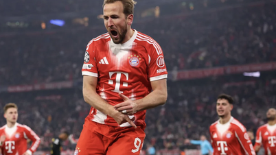 Harry Kane លេងបានយ៉ាងល្អឥតខ្ចោះ ខណៈ Bayern Munich ឡើងទៅវគ្គបន្តនៃ Champions League។