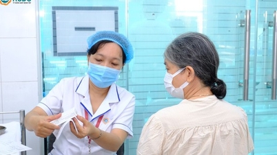 Prevenção da gripe com vacinas: uma proteção para uma terceira idade saudável.