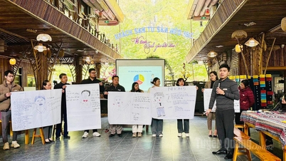 Training on skills for preventing and combating human trafficking in the community.