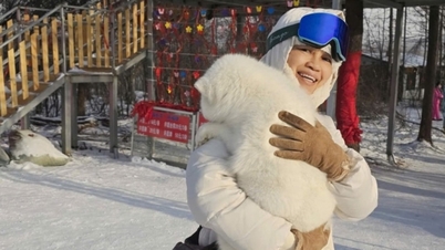 ハルビン：マイナス20度の寒さの中で、温かい雪ギツネを抱きしめる体験。