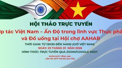 Vietnam-India cooperation in the food and beverage sector.