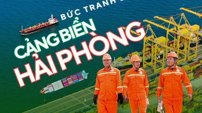 A bright picture of Hai Phong seaport.