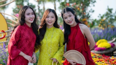 ¿A dónde van los turistas vietnamitas para el Tet (Año Nuevo Lunar) en el año del Caballo?