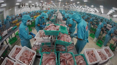 As perspectivas para o comércio de frutos do mar entre o Vietnã e Singapura são bastante promissoras.