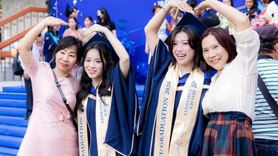 Which universities offer the highest-paying fresh graduates?