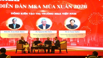 Forum Penggabungan dan Pengambilalihan Musim Bunga – Meletakkan asas untuk kelahiran VMAA