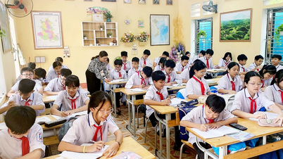 Phu Tho is building a team of teachers to meet the requirements of new development.
