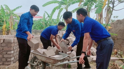 เมืองไฮฟองสร้างอาชีพและช่วยเหลือคนยากจนให้มีชีวิตที่ดีขึ้น