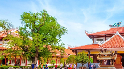 Gia Lai's strategy for sustainable cultural development.