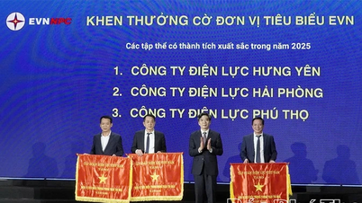 La société Phu Tho Power Company réalise des percées dans les mouvements d'émulation.