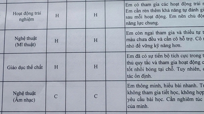 Was bedeutet der Buchstabe „H“ in den schulischen Leistungen eines Kindes, der vielen Eltern Sorgen bereitet?