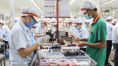 Asigurarea unei sărbători a Anului Nou Lunar pline de bucurie, siguranță și economie în 2026.