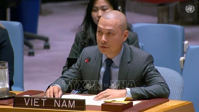 Vietnam supports substantive reforms of the United Nations Security Council.