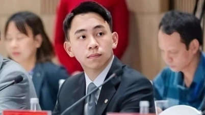 Den unge magnaten Pham Nhat Minh Hoang och hans roll i Vingroup-ekosystemet.