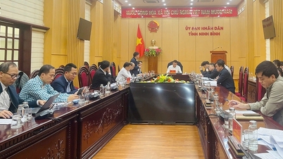 Phối hợp đảm bảo tiến độ các dự án lưới điện truyền tải trên địa bàn tỉnh Ninh Bình