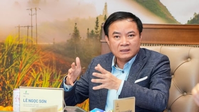 Petrovietnam fokozza az OECD-szabványok alkalmazását a vállalatirányításban.