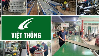 Dél-Vietnam 5 legelismertebb ipari szállítószalag-beszállítója