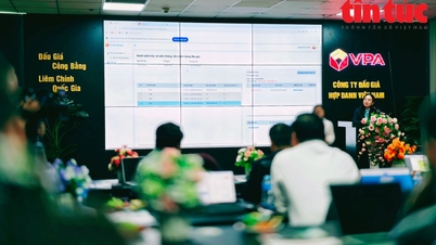 Phiên đấu giá mã số viễn thông đầu tiên thu về hơn 3 tỷ đồng