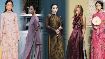 Tết Bính Ngọ 2026, mặc áo dài gì?