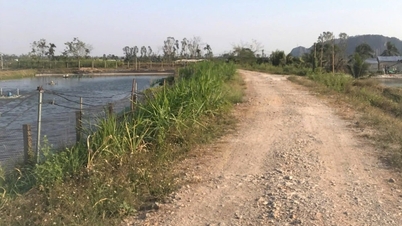 Hai Phong invests over 356.6 billion VND to upgrade the right embankments of the Kinh Thầy and Đá Bạc rivers.